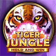 Q8BET NHÀ CÁI 2026 – Nền Tảng Cá Cược Uy Tín Nhất Việt Nam